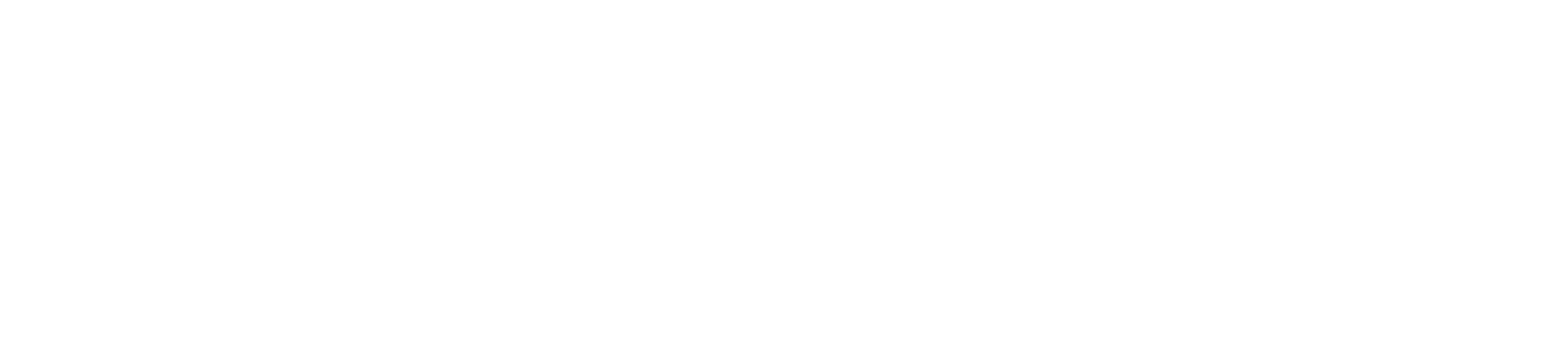 BeCoder Academy